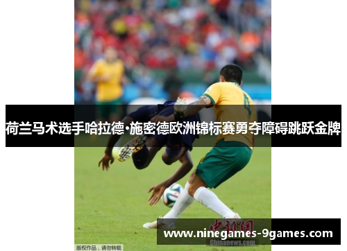 荷兰马术选手哈拉德·施密德欧洲锦标赛勇夺障碍跳跃金牌