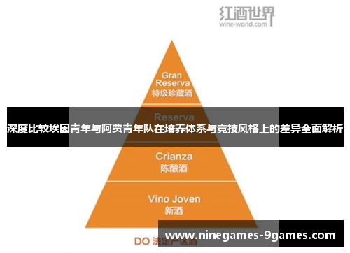 深度比较埃因青年与阿贾青年队在培养体系与竞技风格上的差异全面解析 深度比较埃因青年与阿贾青年队在培养体系与竞技风格上的差异全面解析