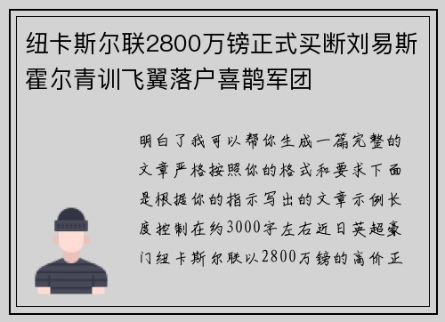 纽卡斯尔联2800万镑正式买断刘易斯霍尔青训飞翼落户喜鹊军团 纽卡斯尔联2800万镑正式买断刘易斯霍尔青训飞翼落户喜鹊军团